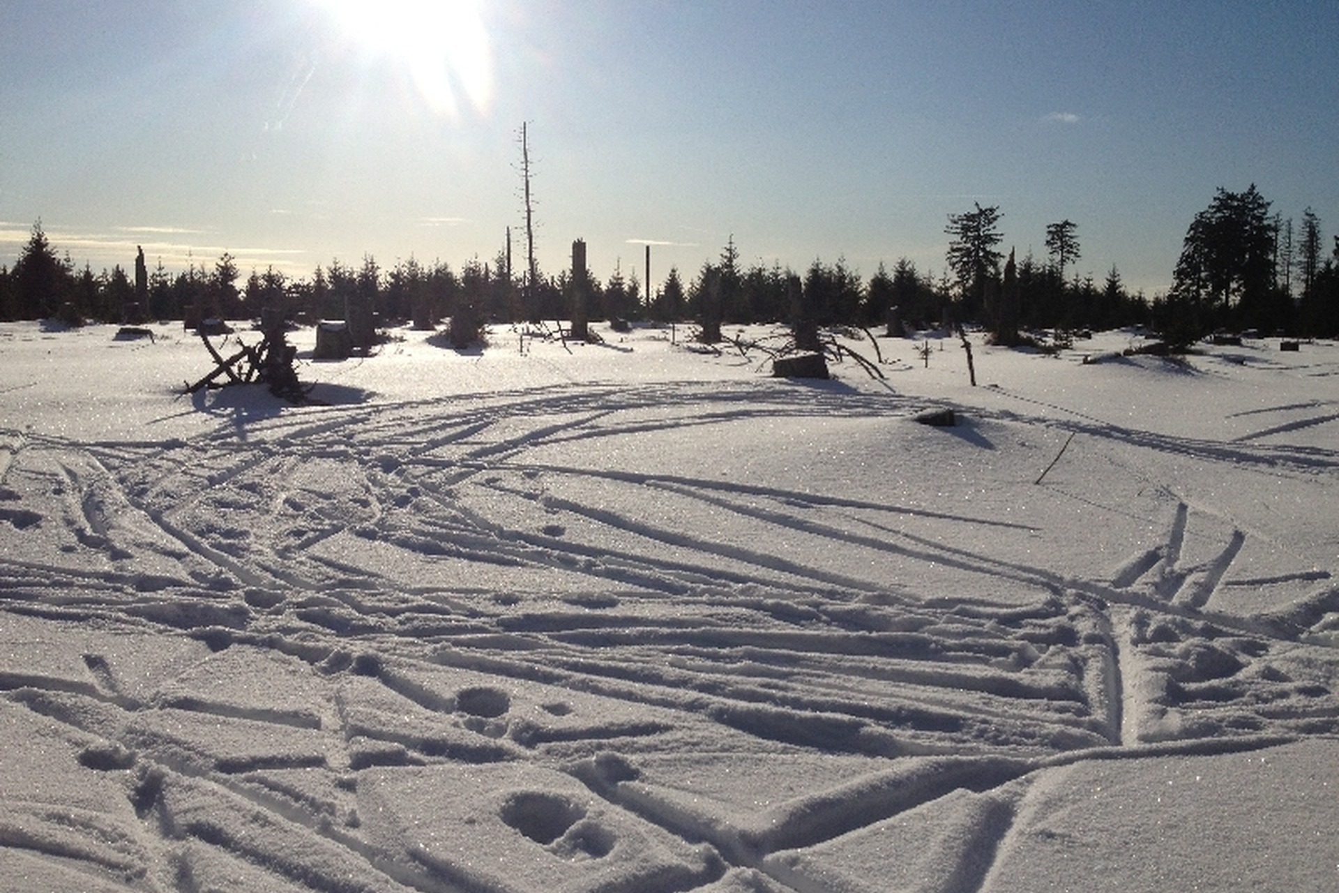 Winterwald Harz